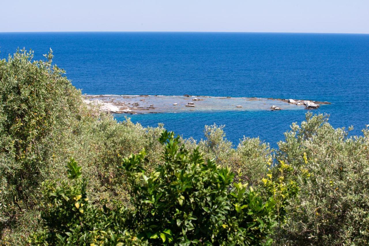 Archodissa Villa Thimonia Bagian luar foto