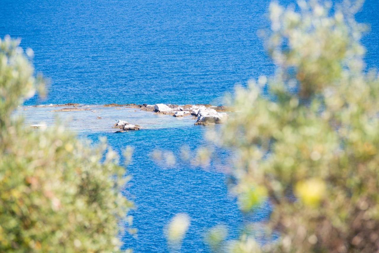 Archodissa Villa Thimonia Bagian luar foto